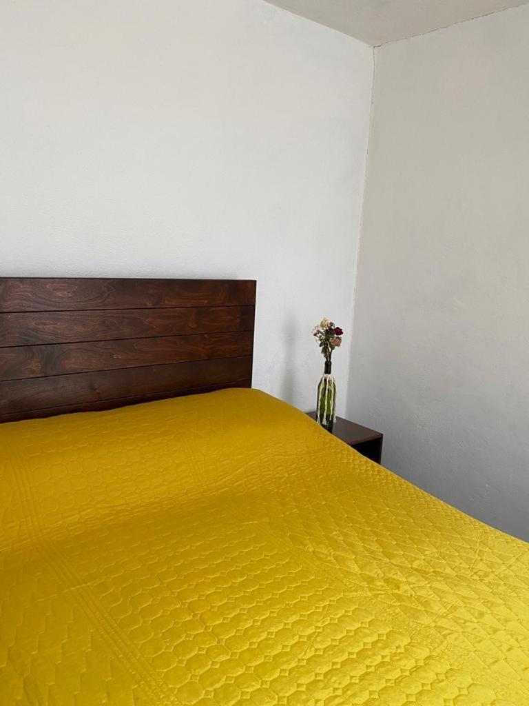 Casa Laberinto 호텔 산미겔데아옌데 외부 사진